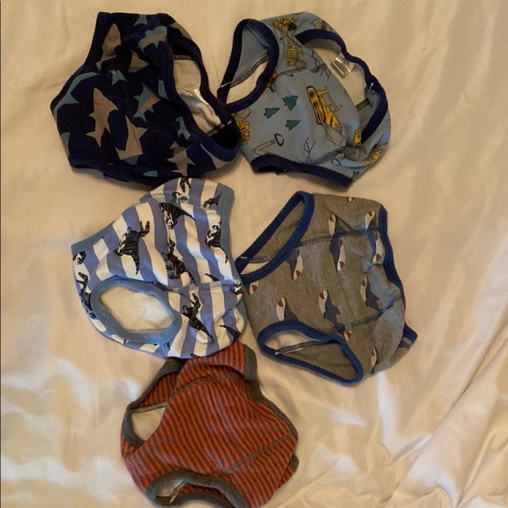 Kids Patterned Training Underwear Set - Multicolor